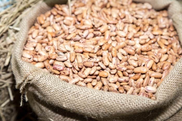 لوبیا چیتی