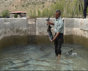 راه اندازی کارخانه تولید غذای ماهی تا اوایل سال 96 دراستان