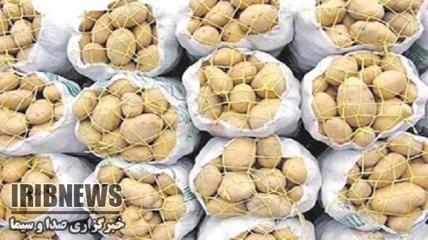 صادرات 18 هزار تنی سیب زمینی از زنجان