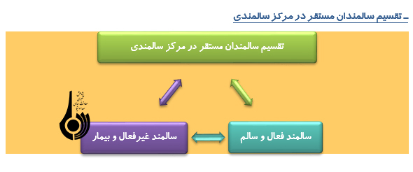سالمندی و مراکزنگهداری از سالمندان سالمندی و مراکزنگهداری از سالمندان