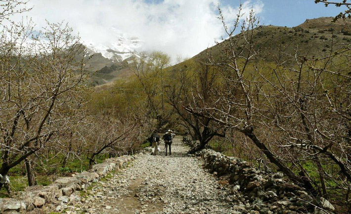 سفر فقط چالوس نیست ؛ با سه ساعت رانندگی به بهشتهای اطراف تهران برسید! سفر فقط چالوس نیست ؛ با سه ساعت رانندگی به بهشتهای اطراف تهران برسید!