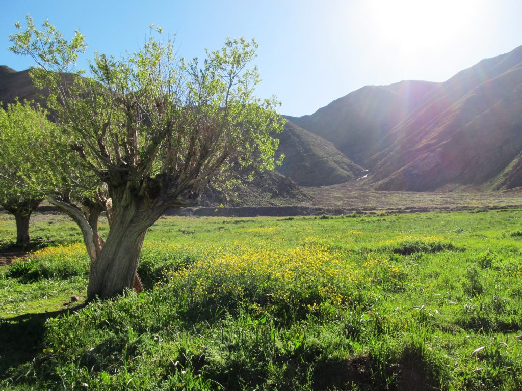 سفر فقط چالوس نیست ؛ با سه ساعت رانندگی به بهشتهای اطراف تهران برسید! سفر فقط چالوس نیست ؛ با سه ساعت رانندگی به بهشتهای اطراف تهران برسید!