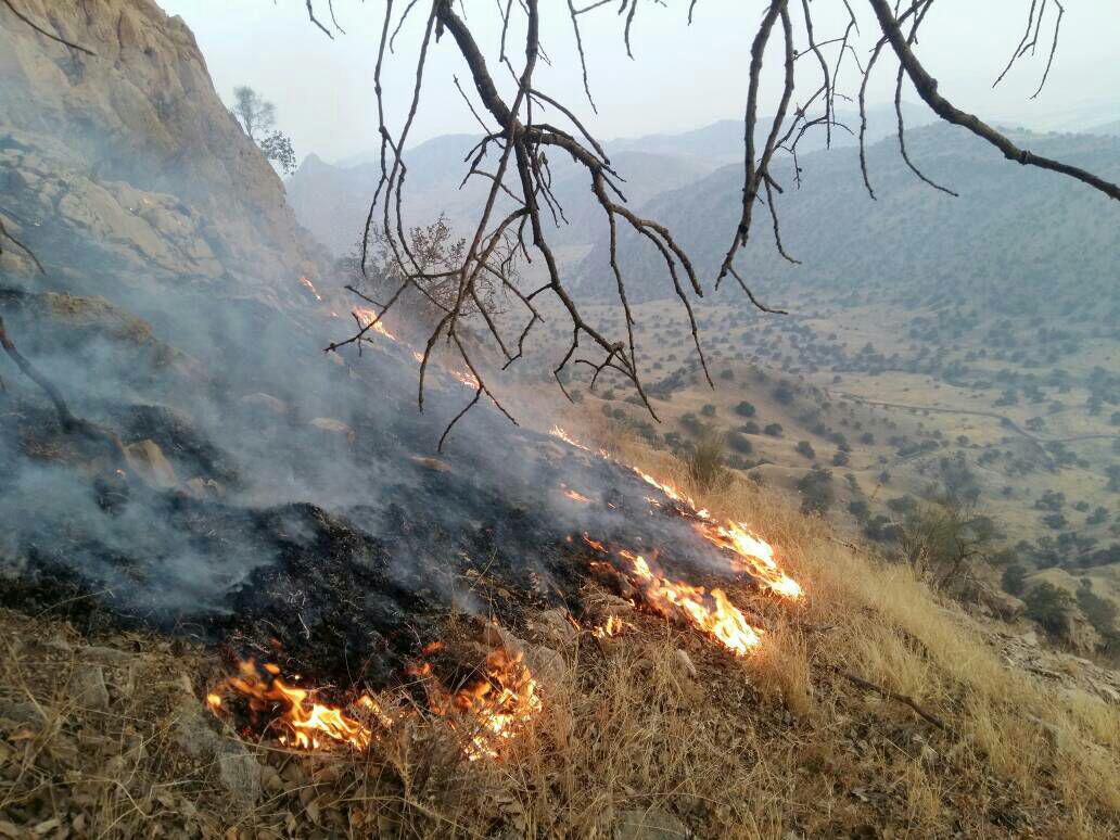 مهار اتش سوزی کوه نارک گچساران