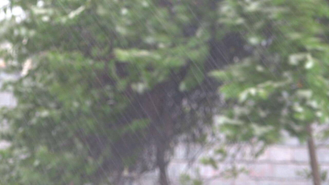 بارش رحمت الهی در کهنوج بارش رحمت الهی در کهنوج