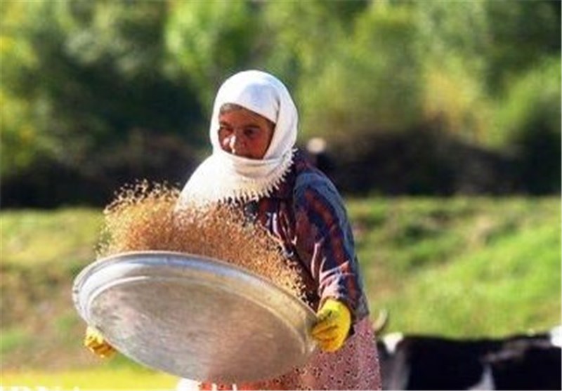 راه اندازی پنج صندوق اعتبارات خرد زنان روستایی در بویین زهرا
