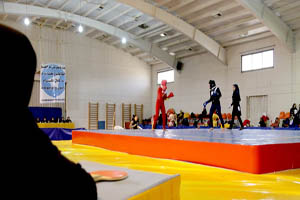 ادامه پیروزی مدعیان در لیگ ووشو بانوان ادامه پیروزی مدعیان در لیگ ووشو بانوان