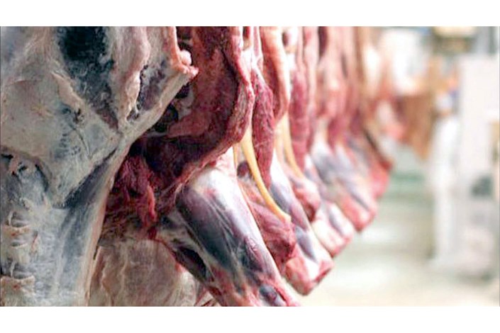 کشف 450 کیلوگرم گوشت فاسد در جنوب تهران