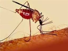 کاهش قابل توجه بیماری مالاریا در کشور