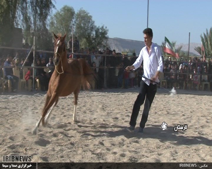 گردهمایی اسب داران و سوارکاران لارستان گردهمایی اسب داران و سوارکاران لارستان