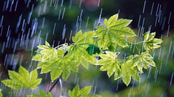 ارتفاع بارش‌ها درکشور به ۱۹۳.۳ میلی متر رسید/ بارش دراستان فارس همچنان کمتر از متوسط ۵۰ سال گذشته