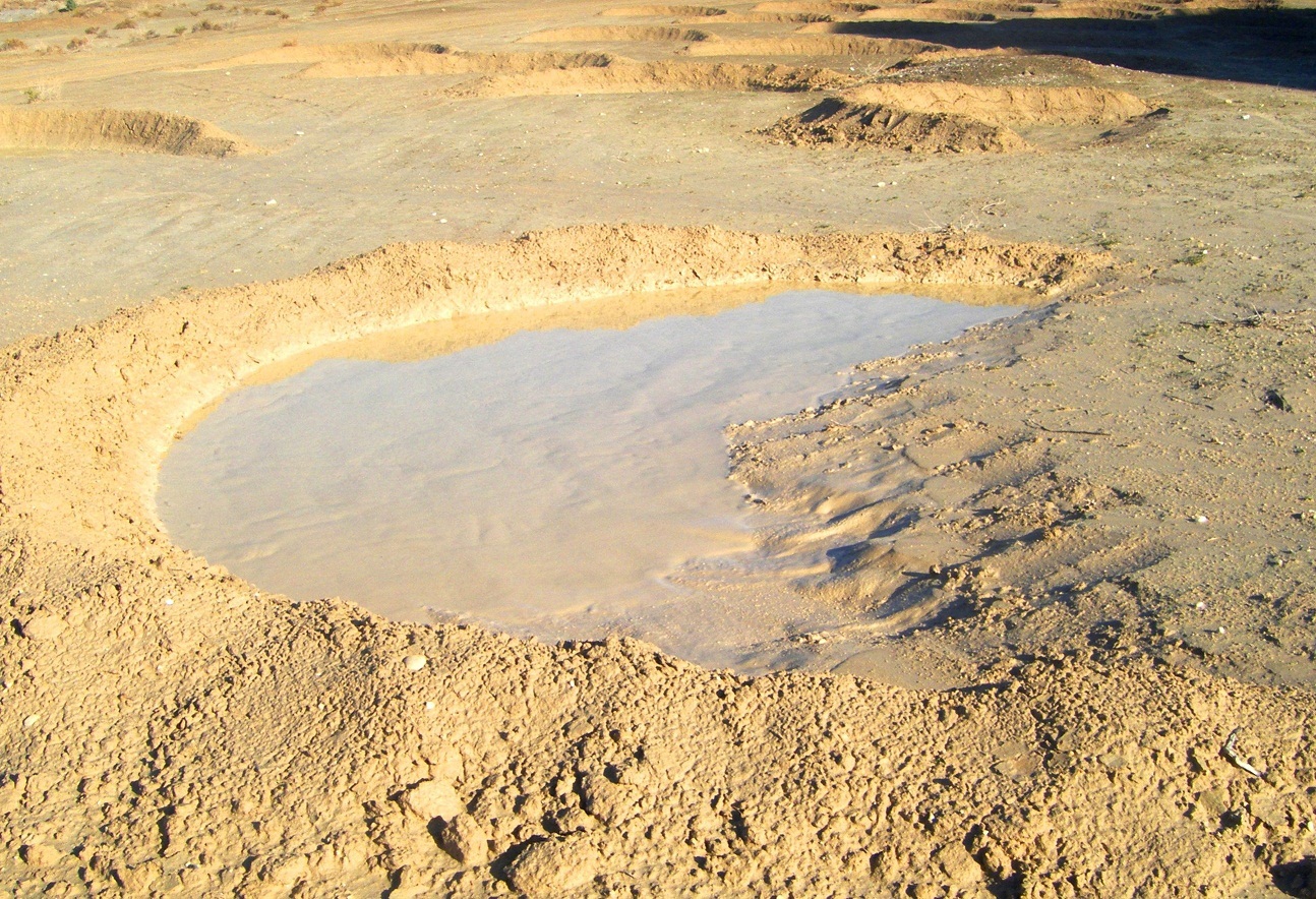 اجرای طرح بیابان زدایی در گچساران اجرای طرح بیابان زدایی در گچساران