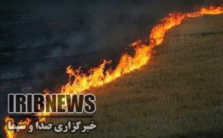 آتش سوزی گسترده در مراتع گولجک آتش سوزی گسترده در مراتع گولجک