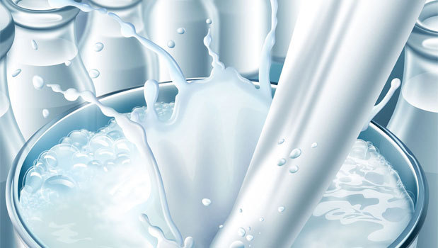 ضعف مدیریت باعث افزایش قیمت شیر خام