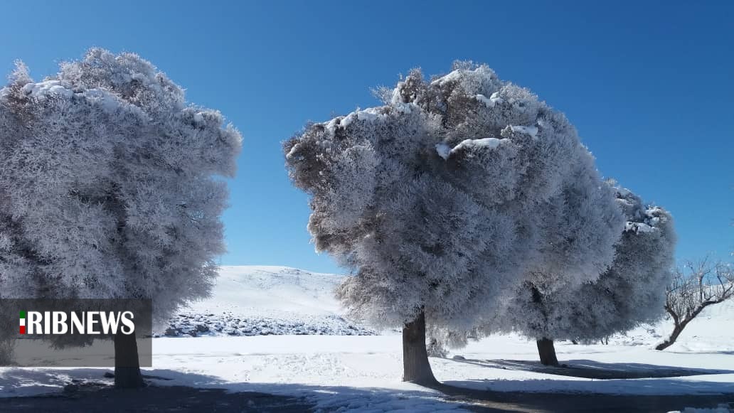 طبیعت برفی بوانات/عکس