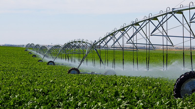اجرای طرح آبیاری بارانی در 25 هکتار زمینهای کشاورزی منطقه پرزان شهرضا