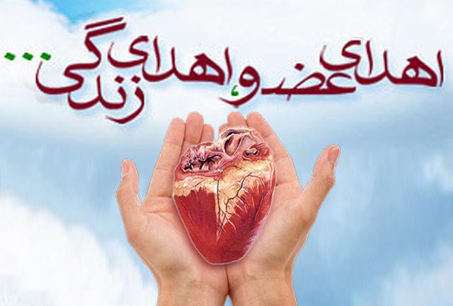 در دو ماهه نخست امسال؛ انجام ۴ مورد اهدا عضو در استان کرمانشاه در دو ماهه نخست امسال؛ انجام ۴ مورد اهدا عضو در استان کرمانشاه