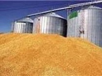 خرید 300 هزار تن گندم مازادبرنیاز کشاورزان استان مرکزی