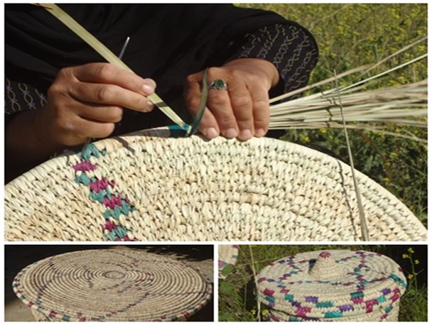 گزارش مکتوب ........زنان بوشهری پیشتازان عرصه های گوناگون گزارش مکتوب ........زنان بوشهری پیشتازان عرصه های گوناگون