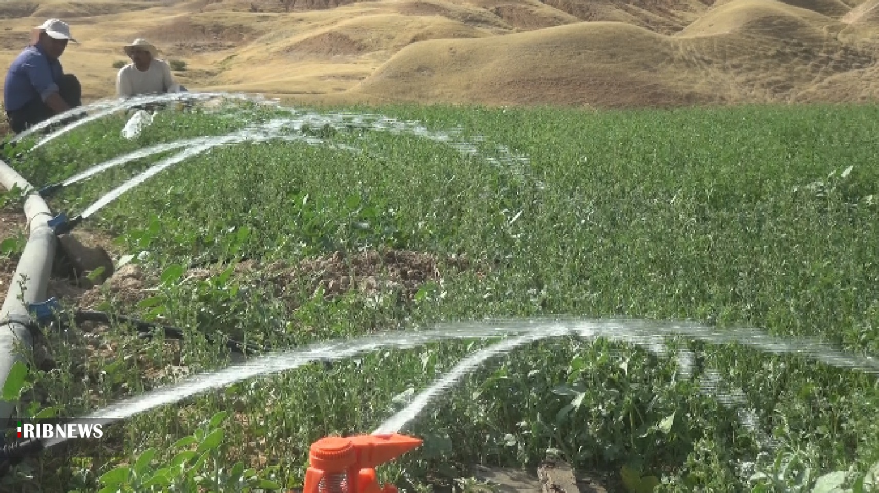 رونق کشاورزی در مناطق عشایری کهگیلویه با اجرای طرحهای آبیاری رونق کشاورزی در مناطق عشایری کهگیلویه با اجرای طرحهای آبیاری