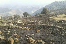 مهار آتشسوزی در منطقه چال منار اندیکا مهار آتشسوزی در منطقه چال منار اندیکا