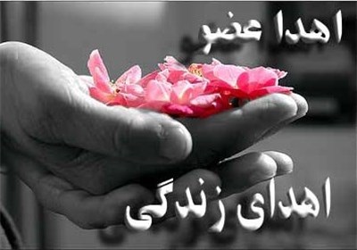 اهدای عضو جوان مشهدی به سه بیمار نیازمند پیوند عضو