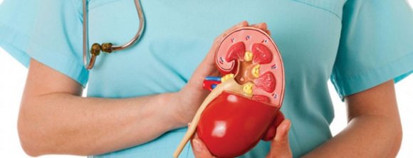 عفونت ادراری تهدیدی برای سلامت کلیه کودکان عفونت ادراری تهدیدی برای سلامت کلیه کودکان