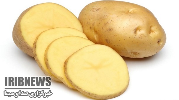 صادرات 500 تن محصول سالم از زنجان به اروپا وآسیا صادرات 500 تن محصول سالم از زنجان به اروپا وآسیا