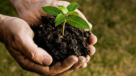 اجرای طرح معنوی نذر درخت در قلب پایتخت همزمان با هفته درختکاری اجرای طرح معنوی نذر درخت در قلب پایتخت همزمان با هفته درختکاری