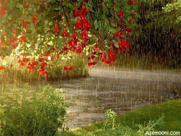 باران بهاری در بیشتر مناطق کشور