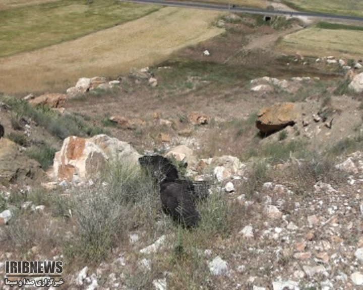 بازگشت عقاب به طبیعت استان همدان