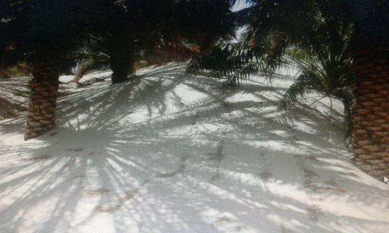 سرازیر شدن روزانه بیش از 10تن شن به روستاهای ریگان