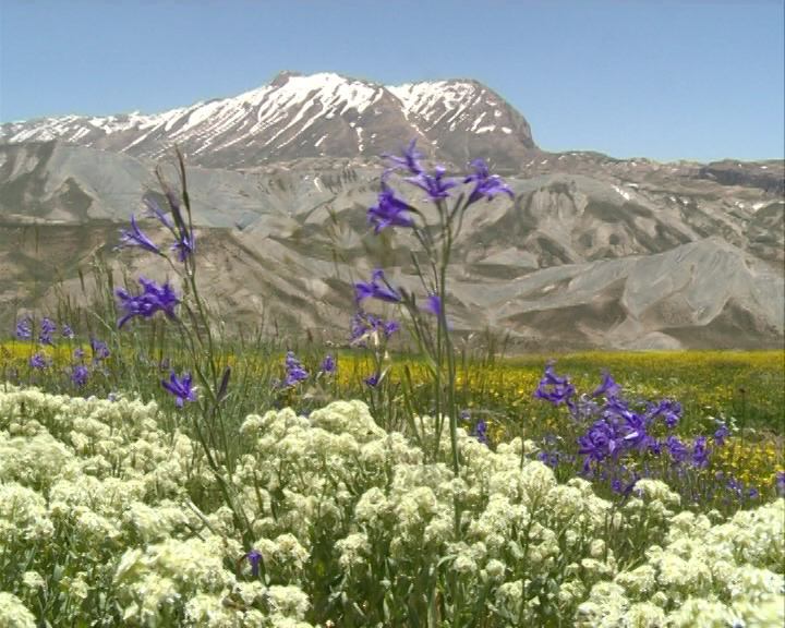 طبیعت بهاری چهارمحال و بختیاری