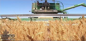 اختصاص 25 میلیارد تومان  اعتبار به کشاورزی خراسان شمالی