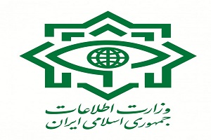 وزیر اطلاعات از هلاکت 4عضو گروهک تروریستی داعش خبر داد