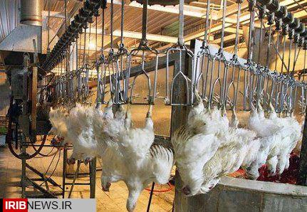 بهره برداری از کشتارگاه بزرگ و پیشرفته صنعتی طیور در خنج