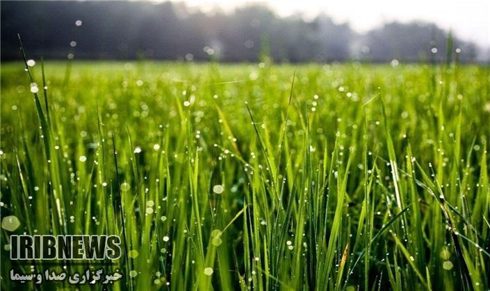 برودت هوا و هشدارجهادکشاورزی مهاباد به کشاورزان