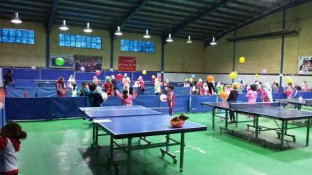 برگزاری طرح استعدادیابی در رشته تنیس روی میز