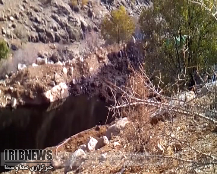 برآورد خسارت اولیه زیست محیطی نشت نفت خام در منطقه گندمکار