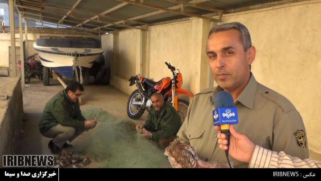 کشف 41 پرنده گرفتار در دام ، گمیشان