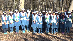 کاشت بذر بلوط امروز در گلستان کاشت بذر بلوط امروز در گلستان