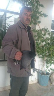 دو پرنده سرگردان در پناه دو دوستدار محیط زیست نی ریزی