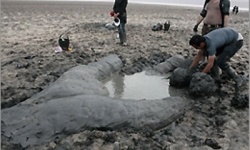 آغاز جشنواره ملی مجسمه های نمکی تالاب کجی  نهبندان