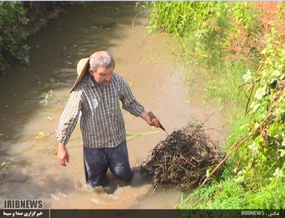 رفع عطش شالیزارهای گیلان با  آب بندان ها