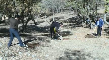 برخورد قاطع یک قاضی طبیعت دوست با قاتل درختان جنگلی