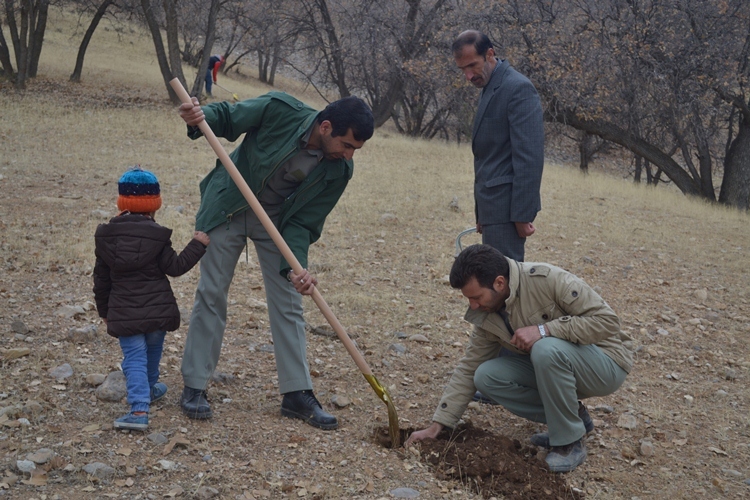اجرای طرح جنگلانه در منطقه دهنوی بویراحمد