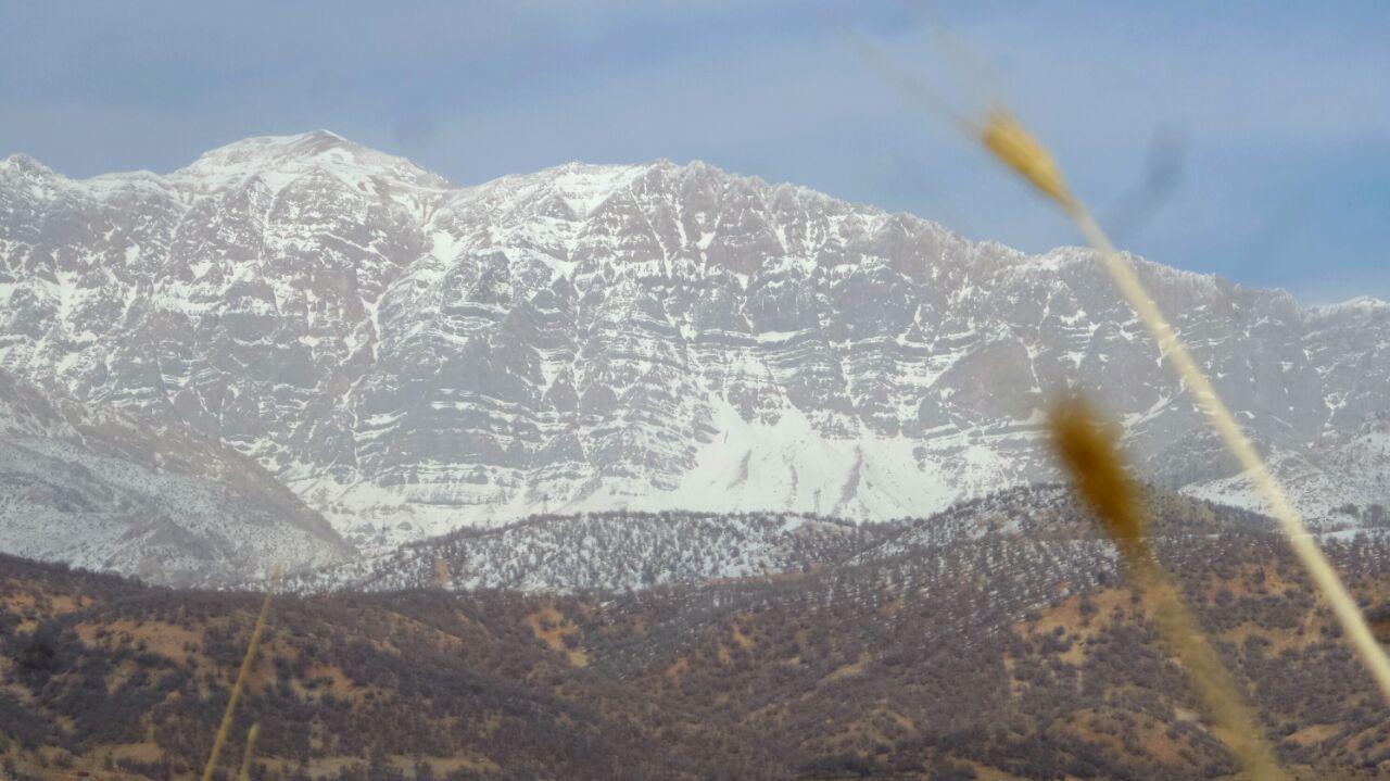 دمای هوا در شهر‌های دارای ایستگاه هواشناسی