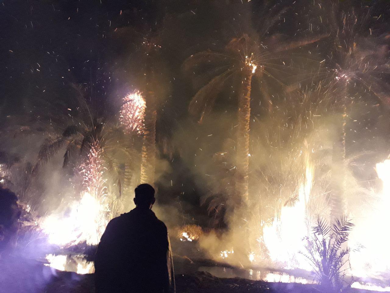 مهار شش اتش سوزی در  نخلستانهای رها شده  ریگان