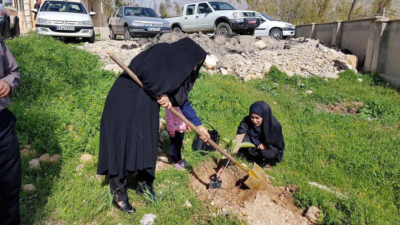 کاشت نهال در نقاط مختلف استان