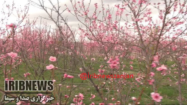 آسمان صاف زنجان در پایان اسفند  وآغاز بهار