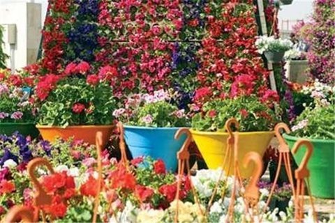 مشهد الرضا آماده پذیرایی از زائران و مسافران نوروزی مشهد الرضا آماده پذیرایی از زائران و مسافران نوروزی